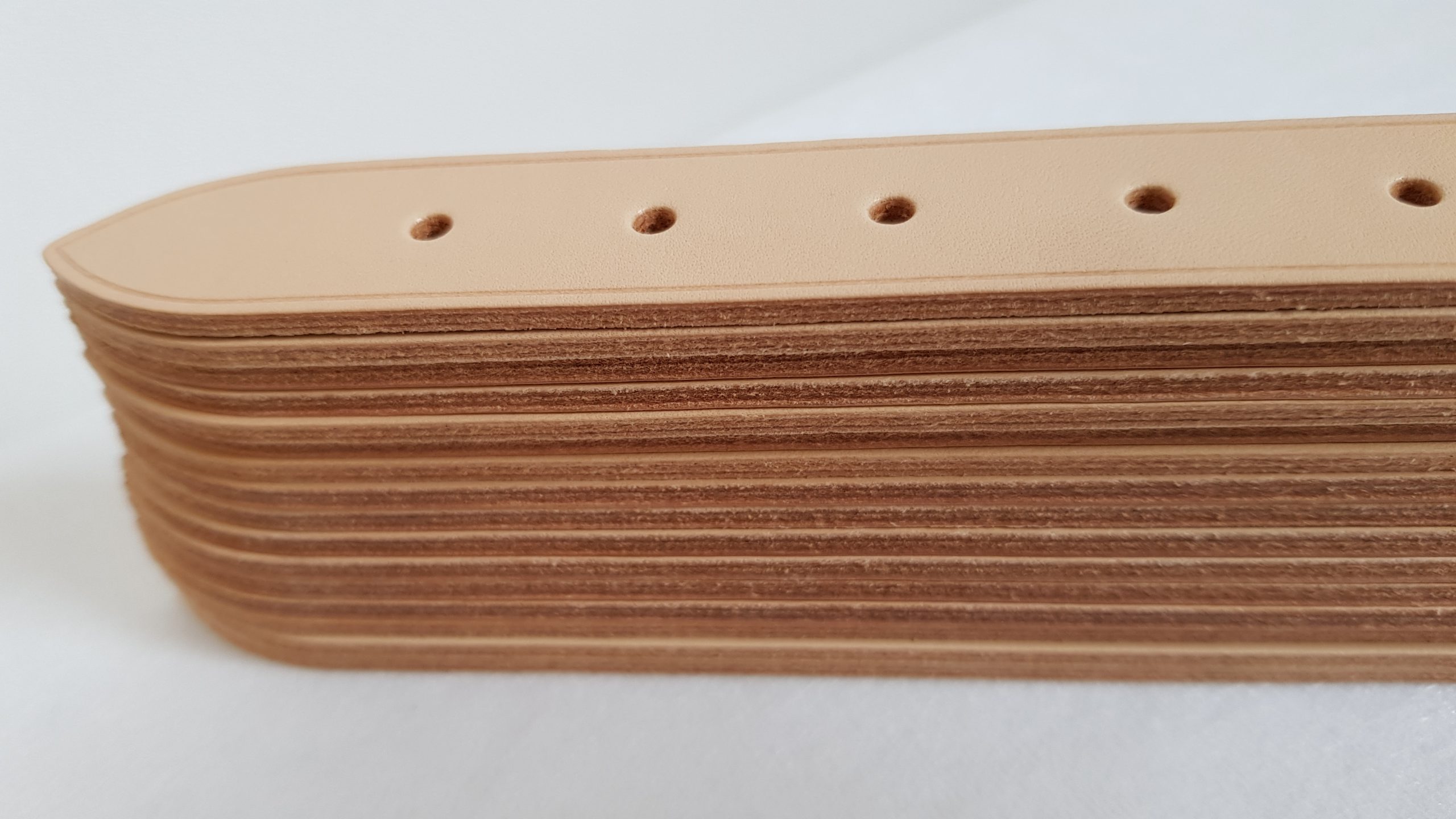 Etau / Banc de coloration automatique - Modèle SA 200 TECH – Image 3